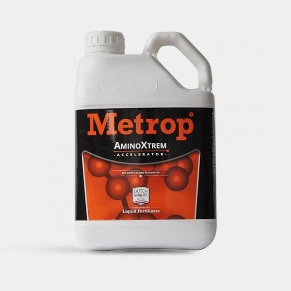 Amino Xtrem