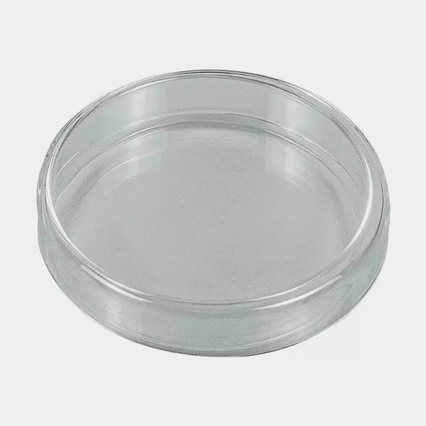 Petri Plate 2