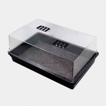 Hard Plastic Propagator