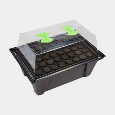 X-Stream Propagator