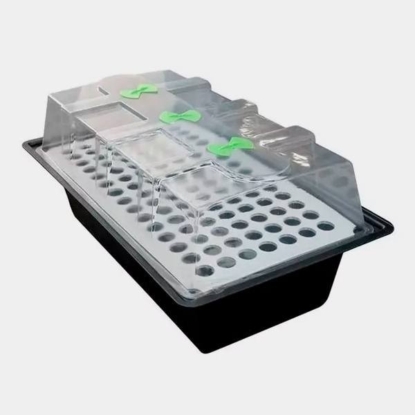 X-Stream Propagator