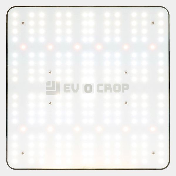 Buy Led Wallace V1 120W Panel - Growbarato
