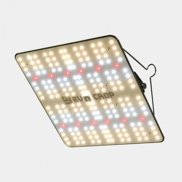 Led Wallace V1 120W Panel