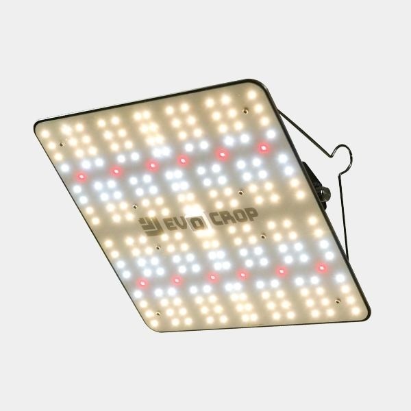 Buy Led Wallace V1 120W Panel - Growbarato