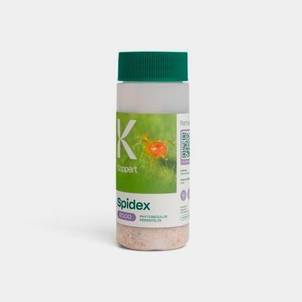 Phytoseiulus Persimilis against red spider- Grow Barato