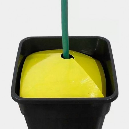 Yellow Sticky Traps for Soil Insects - GB