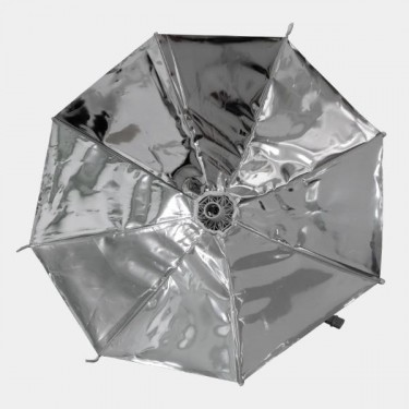 Daisy Reflector by Secret Jardin