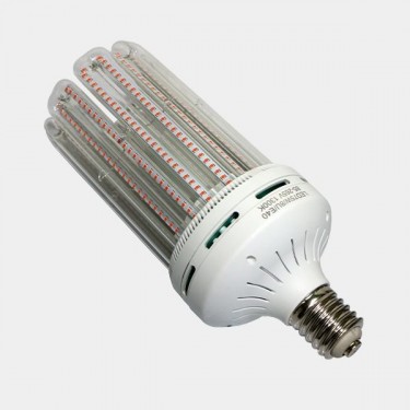 Solux LED Efficient Flowering Bulb - GB