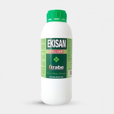 Ekisan Horsetail