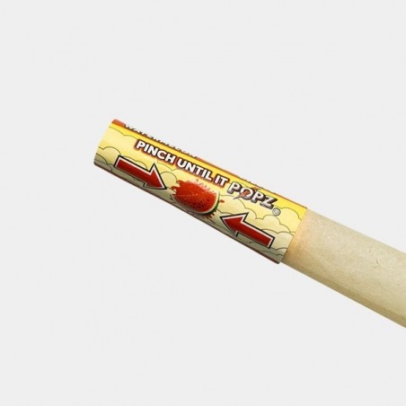 POPZ King Size Hemp Cones - GB The Green Brand