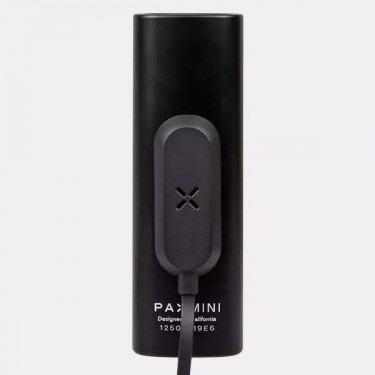 Pax Mini Vaporizer - GB The Green Brand