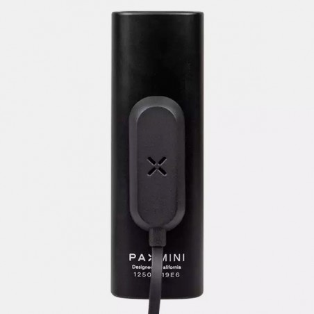 Pax Mini Vaporizer - GB The Green Brand
