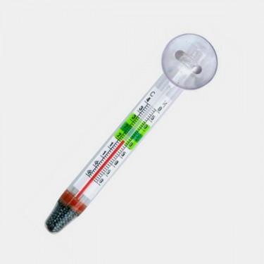 Water Thermometer