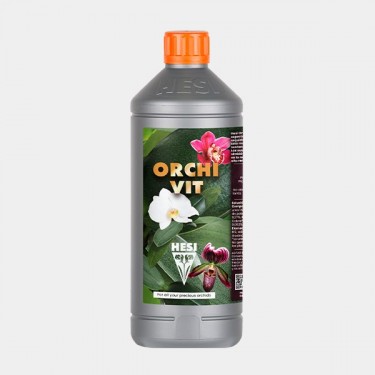 Hesi Orchivit