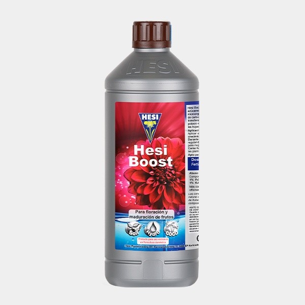 Hesi Boost