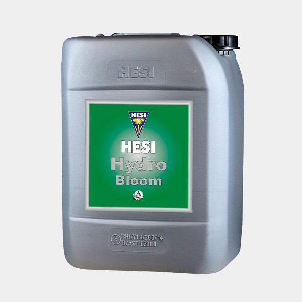 Hidro Floración  (Bloom)