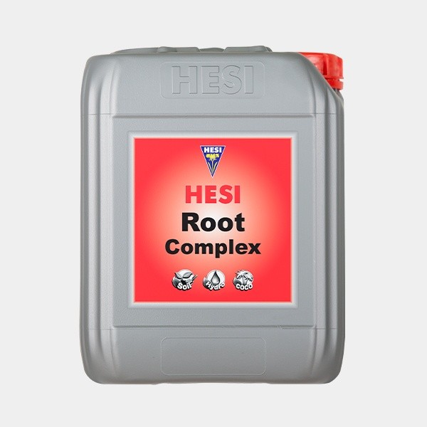 Complejo Radicular by Hesi