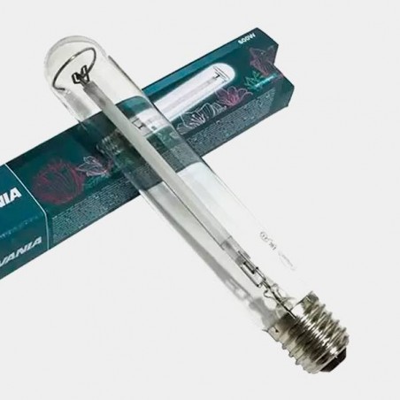 Groxpress Sylvania 600w Flowering Bulb - GB