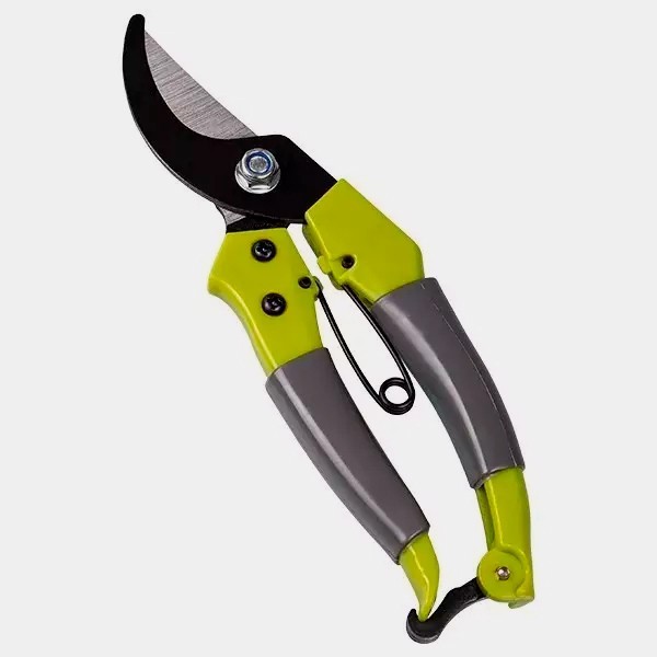 closed Pruning Shears