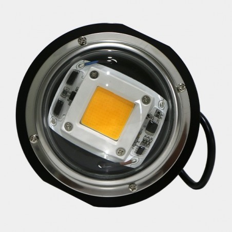 TX LED COB DOB Bubble lamp - Grow Barato