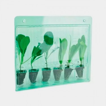 Transport Case For 6 Cuttings - GB The Green Brand
