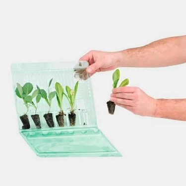 Transport Case For 6 Cuttings - GB The Green Brand