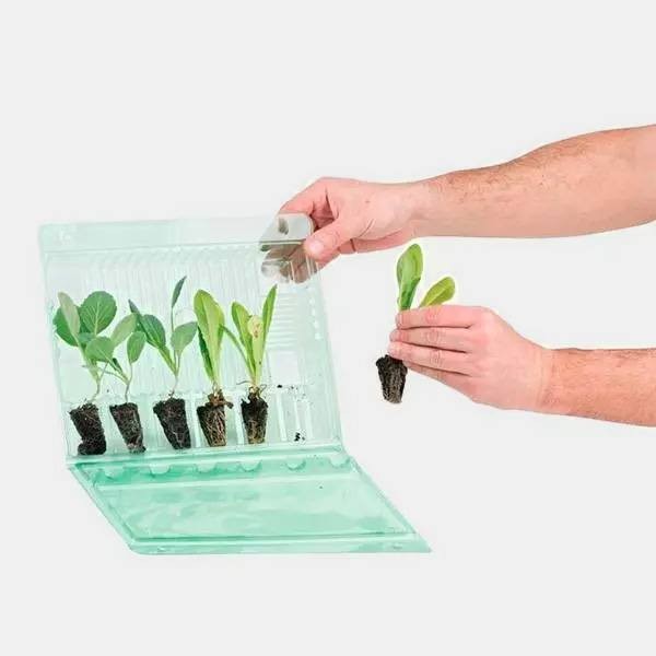 Transport Case For 6 Cuttings - GB The Green Brand