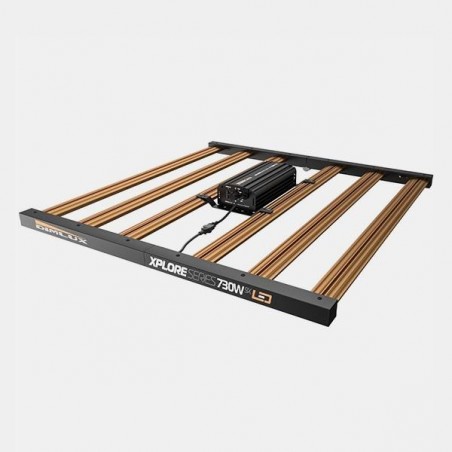 Dimlux Xplore Series 730W 9X LED