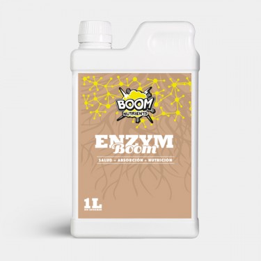  Enzym Boom 