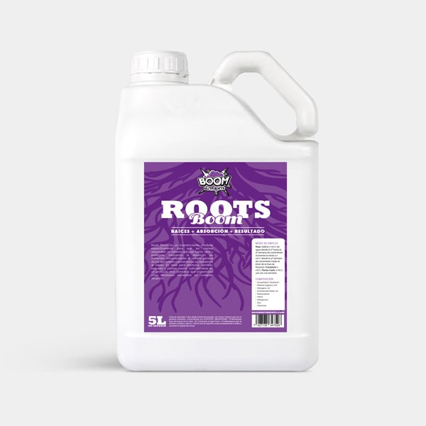 Roots Boom