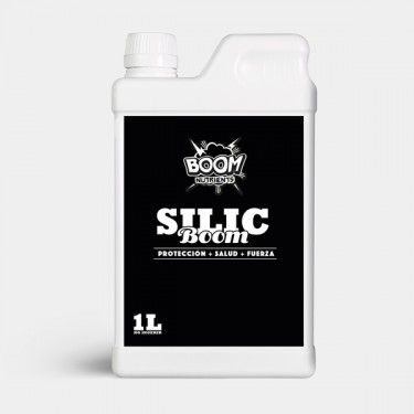  Silic Boom 