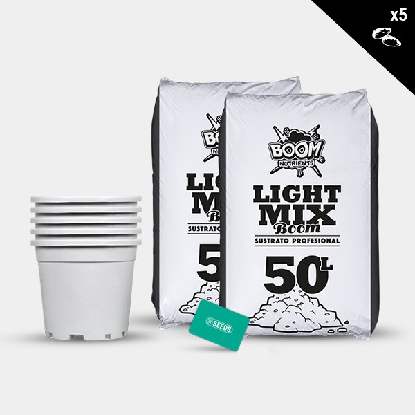 Outdoor Feminized Kit