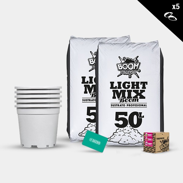 Outdoor Feminized Kit
