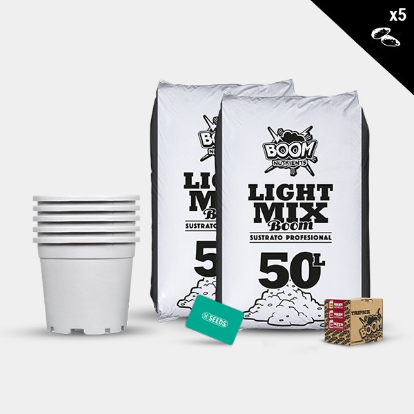 Outdoor Feminized Kit