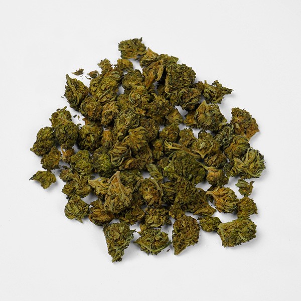 Buy GB Bloody Weedy CBD Limited Edition - Grow Barato