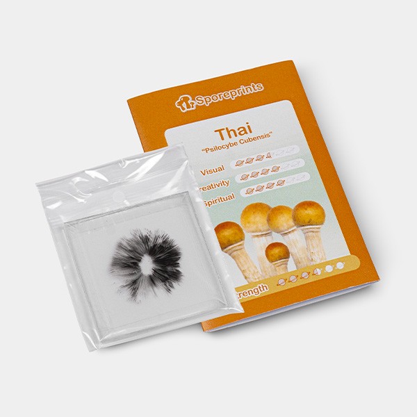 Thai Spore Print packaging