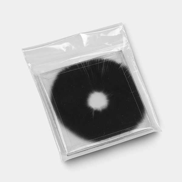 Mazatapec Spore Print detail