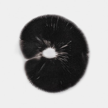 B+ Spore Print