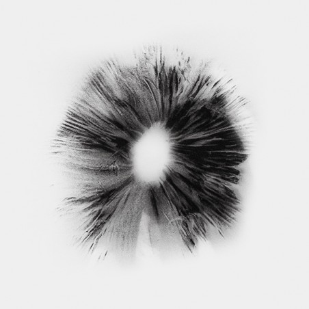 Thai Spore Print