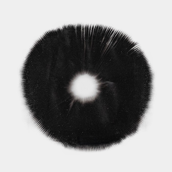 View Mazatapec Spore Print