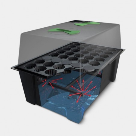 X-Stream Propagator by Nutriculture - GB
