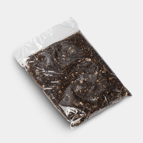 Jack Frost Magic Mushroom Grow Kit + added substrate