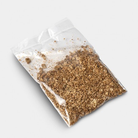 Golden Teacher Mushroom Grow Kit | Grow Your Own Mushrooms 🚀
