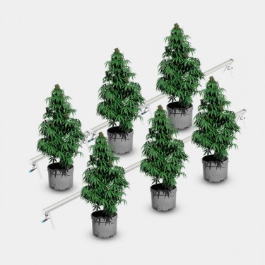 Solux Under Canopy 120W LED plants