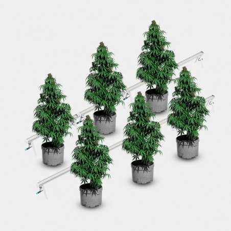 Solux Under Canopy 120W LED plants