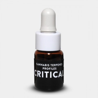 Critical Terpenes