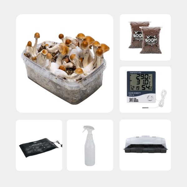 GB Mycological Study Kit Intermediate Level Amazonian
