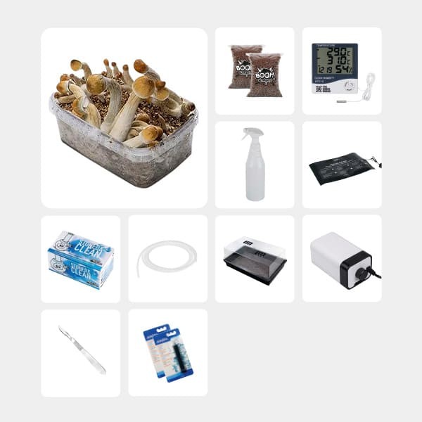 GB Complete Mycological Study Kit Mexicanas