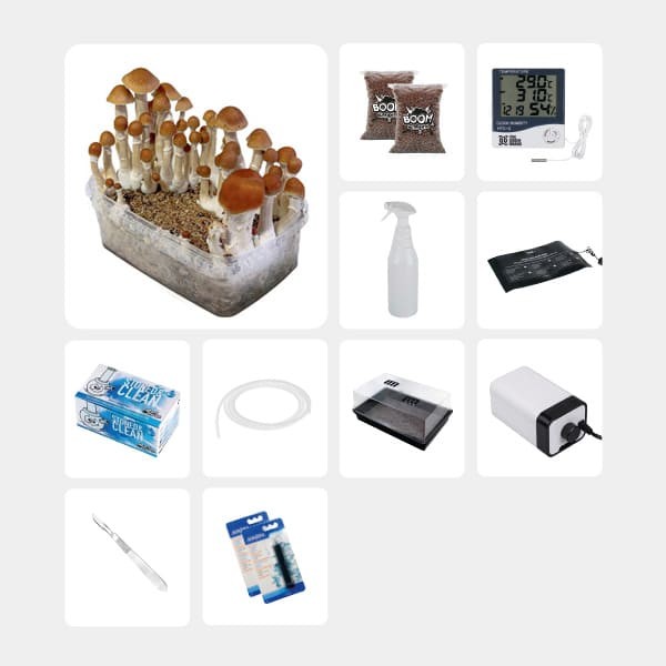 GB Complete Mycological Study Kit McKennaii