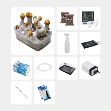 GB Complete Mycological Study Kit B+